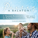 pezseg_a_balaton_FB.indd